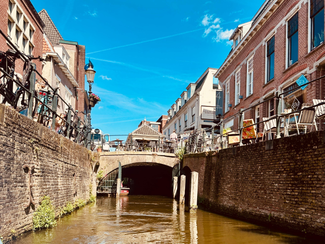 IMG-20250516-WA0008